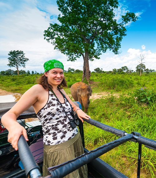 National Park Safari